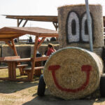Vidám, mosolygós szalmabála traktor a Barka Állatsimogató területén